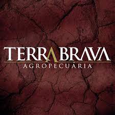 terrabrava